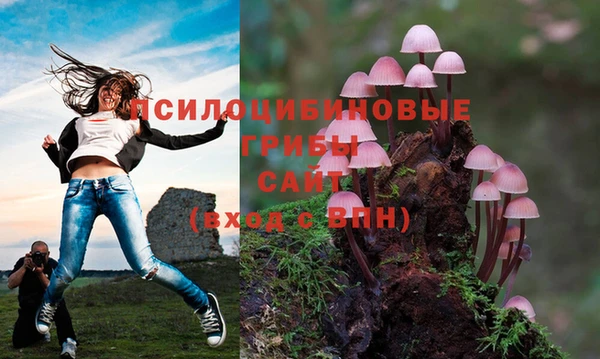 гашиш Балахна