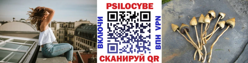 Галлюциногенные грибы Cubensis  мега ССЫЛКА  Усть-Джегута 