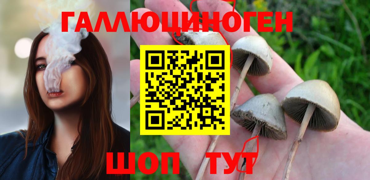 Галлюциногенные грибы прущие грибы  Псилоцибиновые грибы прущие грибы  Вход с VPN  Усть-Джегута 